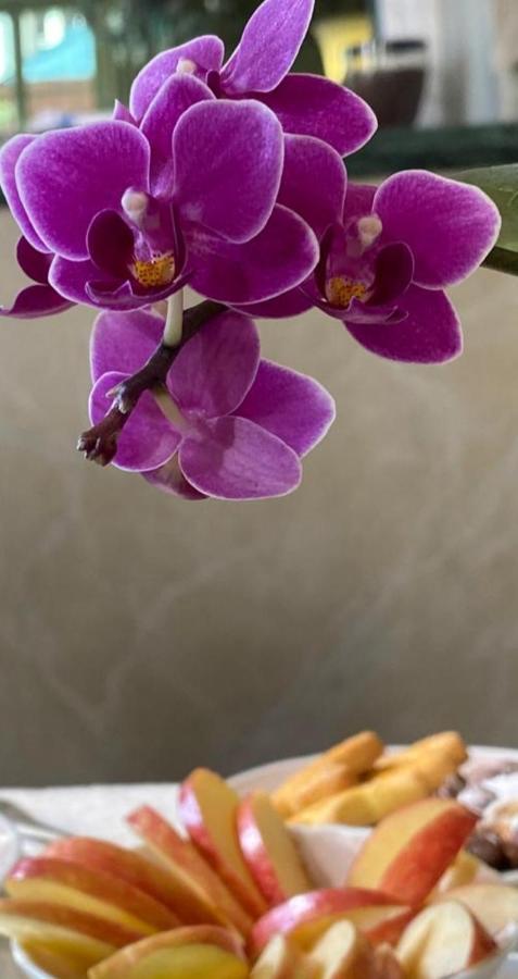 Hotel Verdi Boutique Hotel Parma Ngoại thất bức ảnh